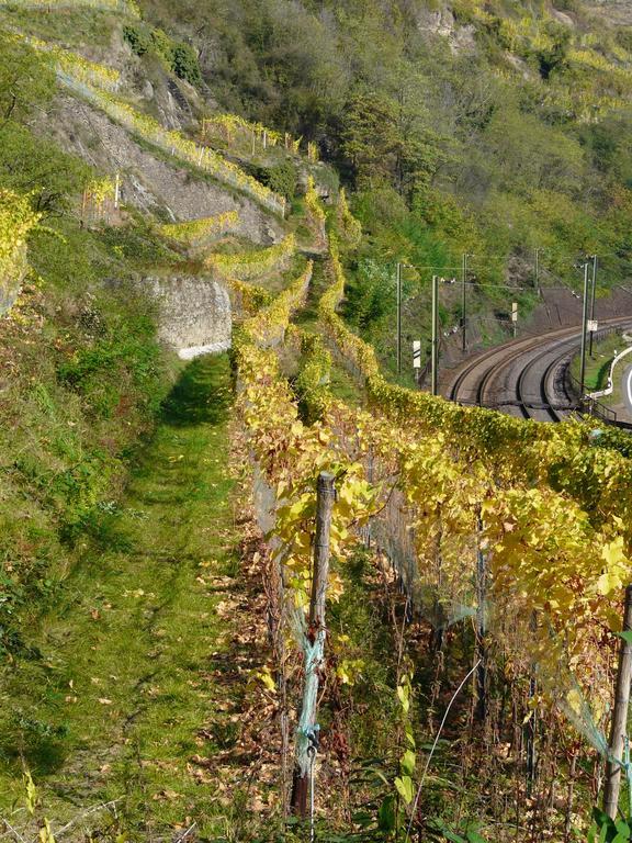 Gasthaus Weingut Stahl โอเบอร์เวเซิล ภายนอก รูปภาพ
