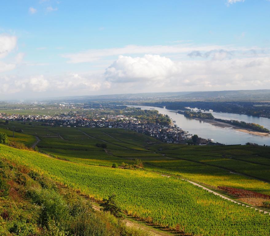 Gasthaus Weingut Stahl โอเบอร์เวเซิล ภายนอก รูปภาพ
