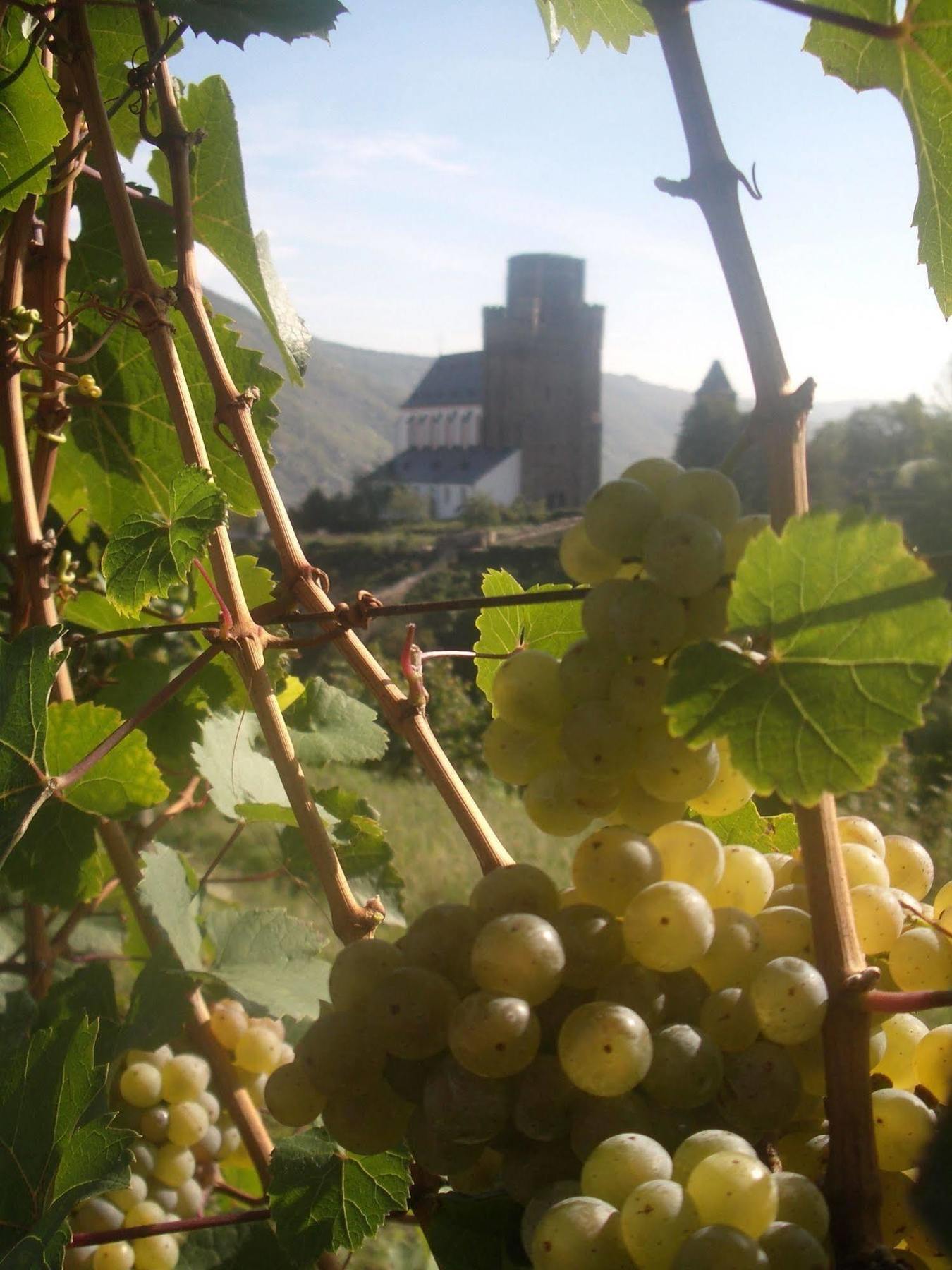 Gasthaus Weingut Stahl โอเบอร์เวเซิล ภายนอก รูปภาพ